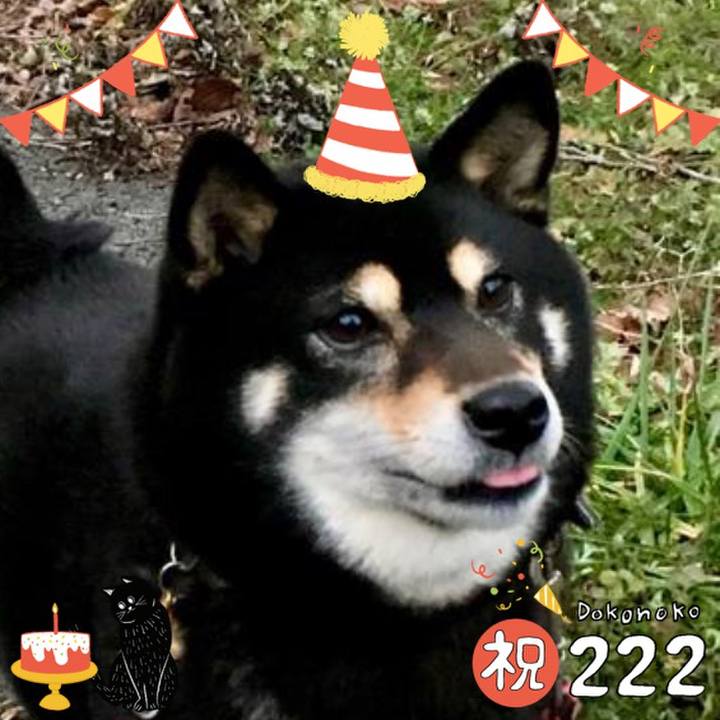 Ec9f871e 0dba 4ae2 b9f1 6354db5239ba 1645531533561