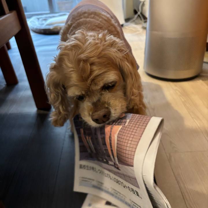 Ec9fae64 f33b 4b22 b8c3 4777890ff140 1772285541451