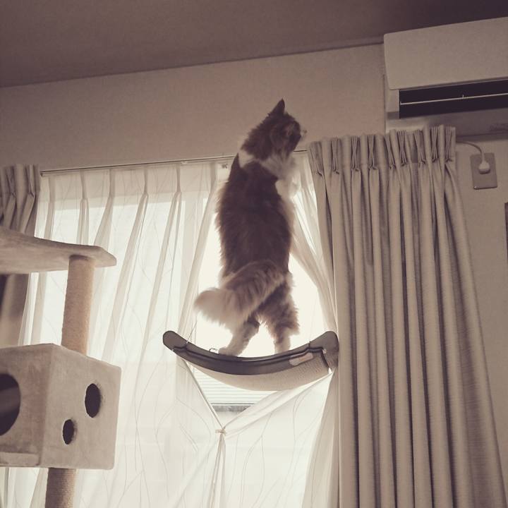 Ec9fb4b3 d76f 49f9 b486 e5ba0784cded 1551495741102