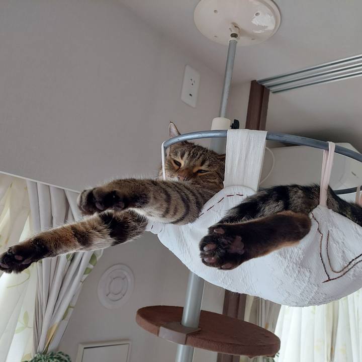 Ec9fdebb bbda 44e2 814d b04edf950b78 1692741026271