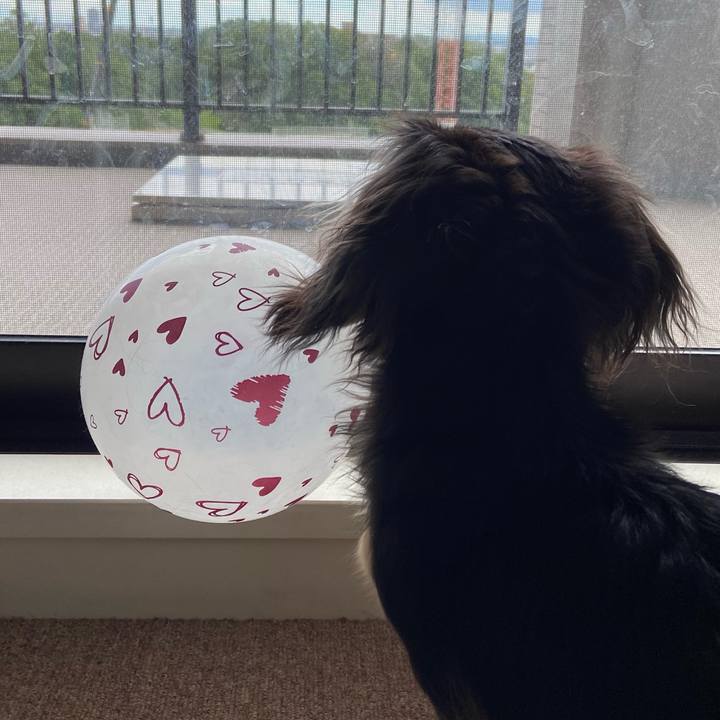 Eca03b4f df3b 40a7 b04a 78b065d419b8 1692678189381