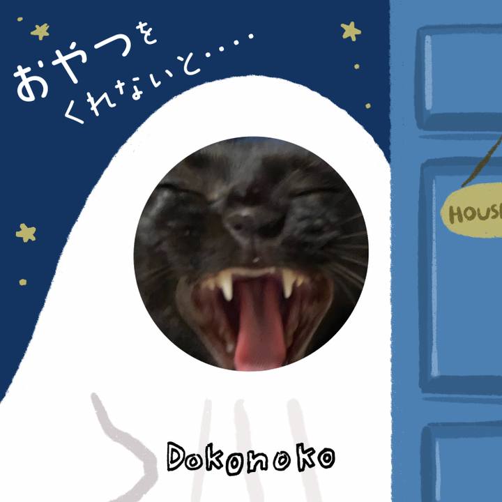 Eca03dd8 38eb 47c2 8fb9 8fc56f7d6113 1730374627942