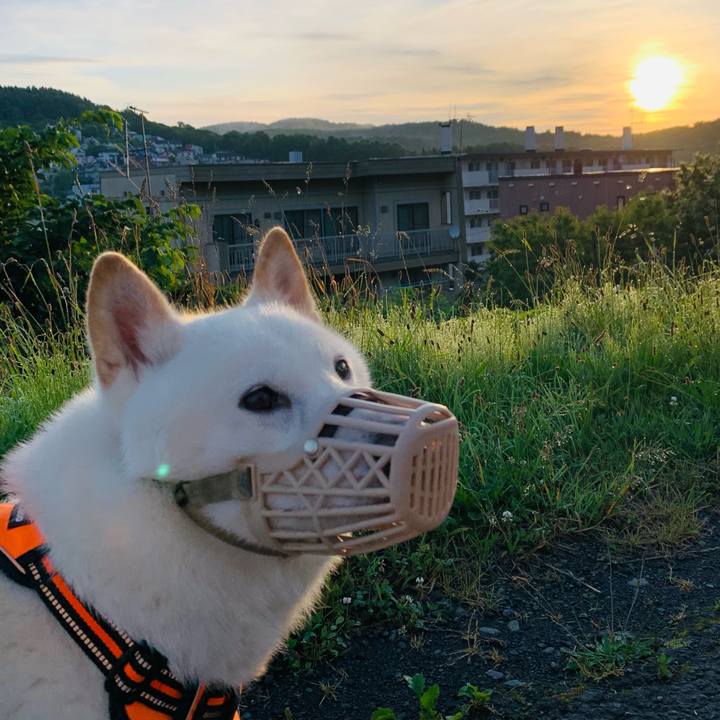 Eca041c0 d365 4b49 b5e7 329b83eed560 1625774345836