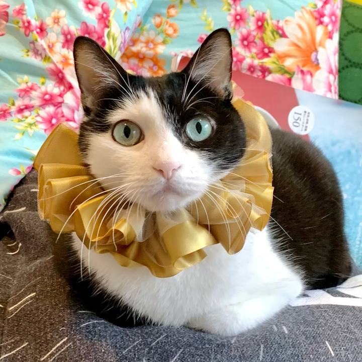 Eca0619b faf6 4ee2 8f4f e8cdbdc49f9f 1703985364049