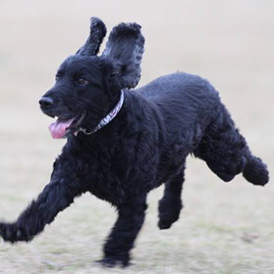 Eca07588 4459 4923 b0d1 6319b5aa5553 1595843581166