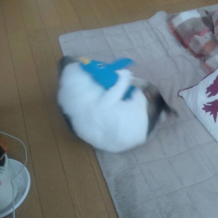 Eca0771e bc60 4ac8 b56d f3096be7176d 1742605905246