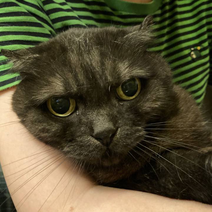 Eca07fcd 6e84 4d69 8629 340bb7dc9c8a 1623689790249