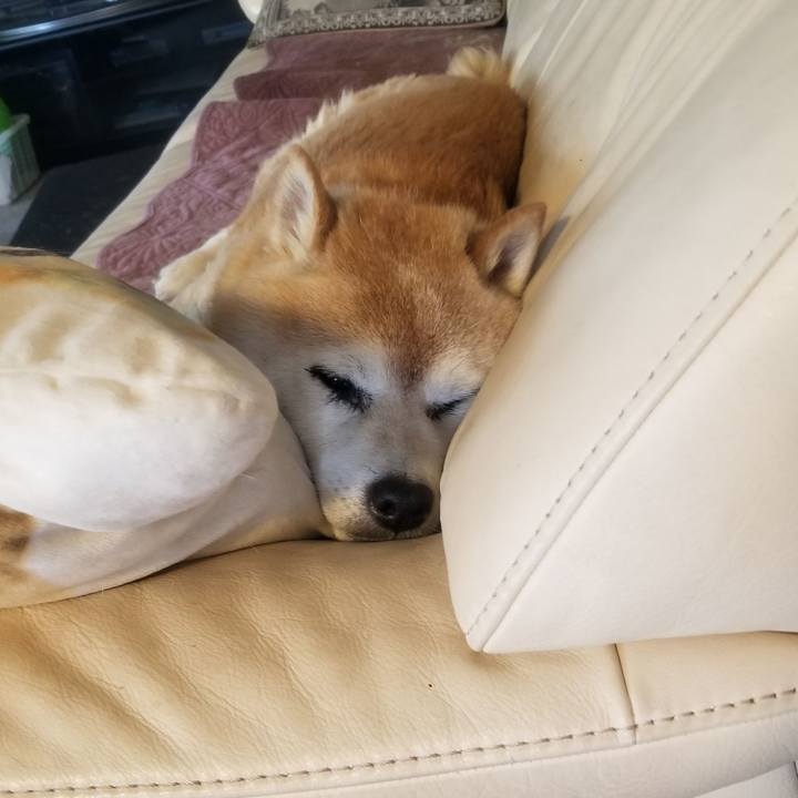 Eca0a5f9 d37b 445d b951 34eda9083956 1749946940398