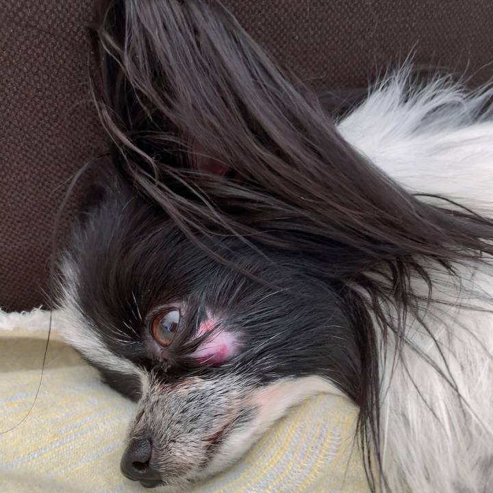 Eca0af9a dc19 4d16 b608 f4636e687e70 1541906774516