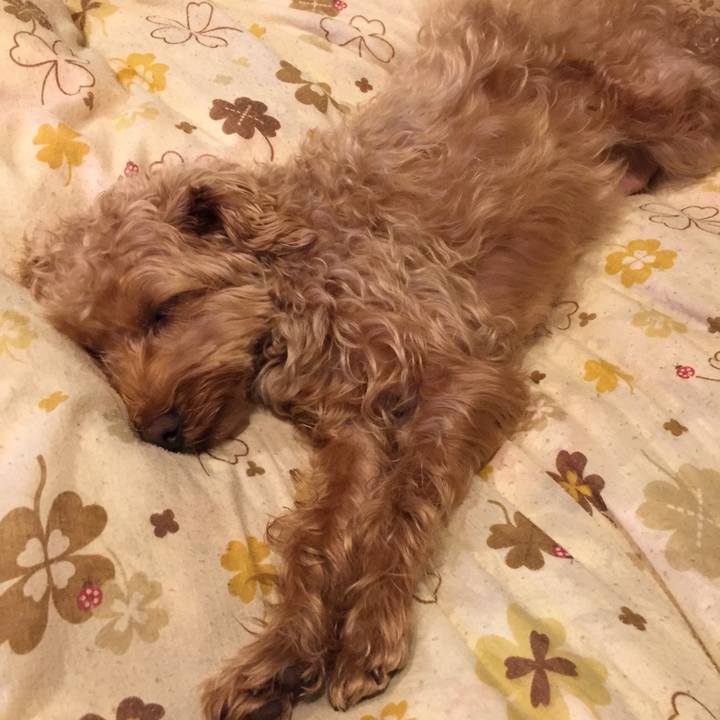 Eca0c56a 780f 47a6 83b4 baf4312e5494 1524485271198