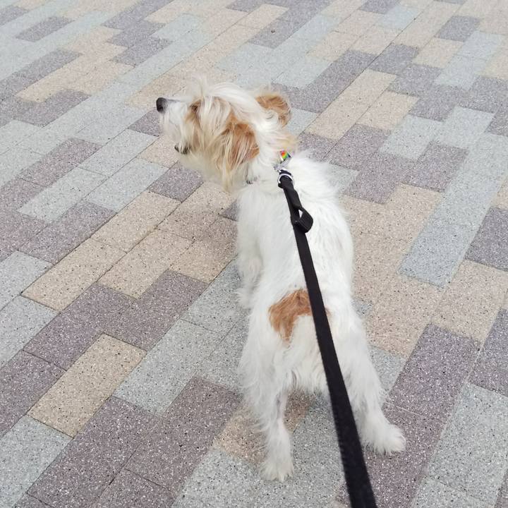 Eca0c99d ccf7 4d88 9c6d 8e2d28d12082 1523076838984