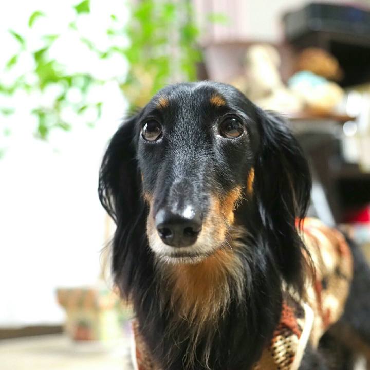 Eca0e55f c6b5 4710 ac89 eb2674237e3b 1597998205477