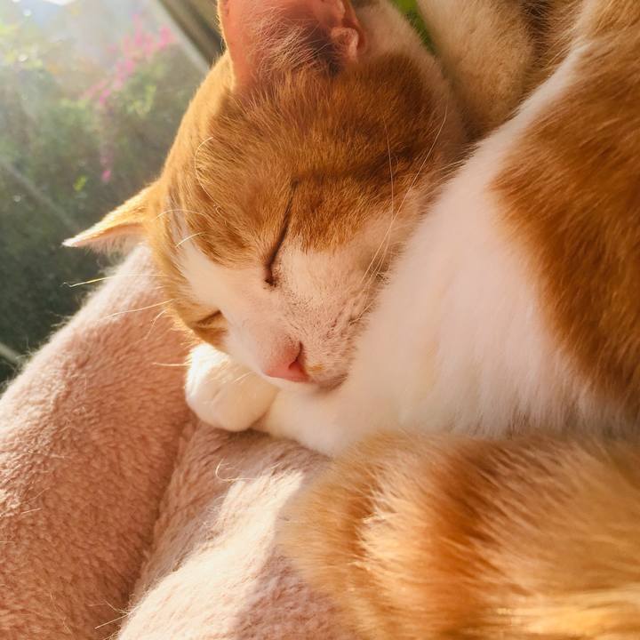 Eca0e633 887c 4fe7 8841 2930379c637e 1557178992426