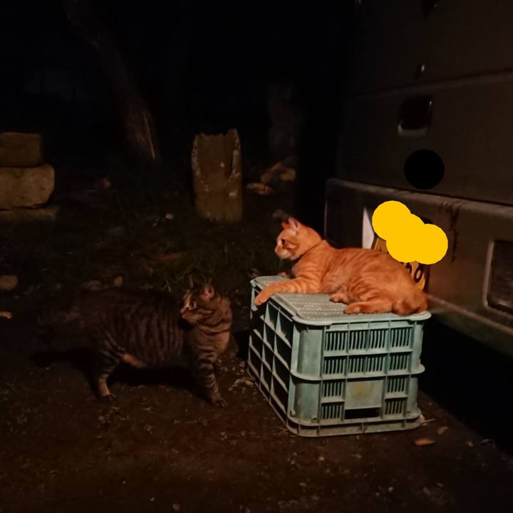 Eca0e7a1 317f 4e08 8a7b 48d7e3b2fe8a 1661512788073