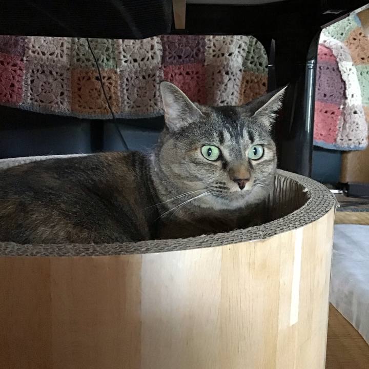 Eca10714 e7bc 477e 8e6b 82650ffdd559 1722148179204