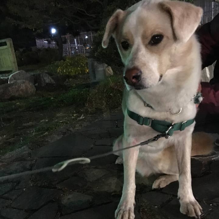 Eca15887 7908 464d 95e7 ed5f43e98cdb 1513765860684