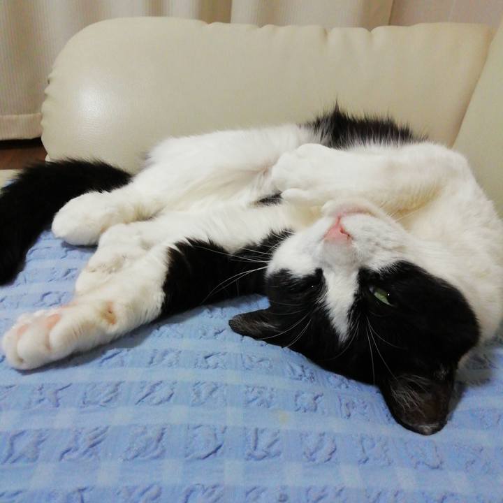 Eca15980 ed8f 4d9c b51f 72ac61b5e539 1594377254286