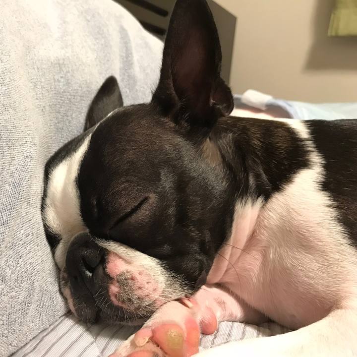 Eca15cbb 2f9d 4f6b 8c6f c41d25c70f81 1538221142015