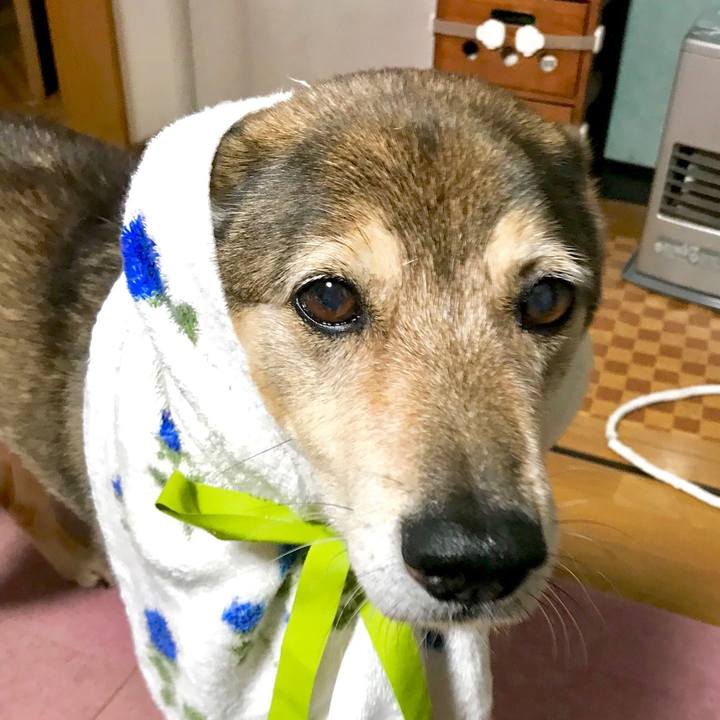 Eca1a584 5efb 4809 a26b 6c7554716d1a 1528985987935