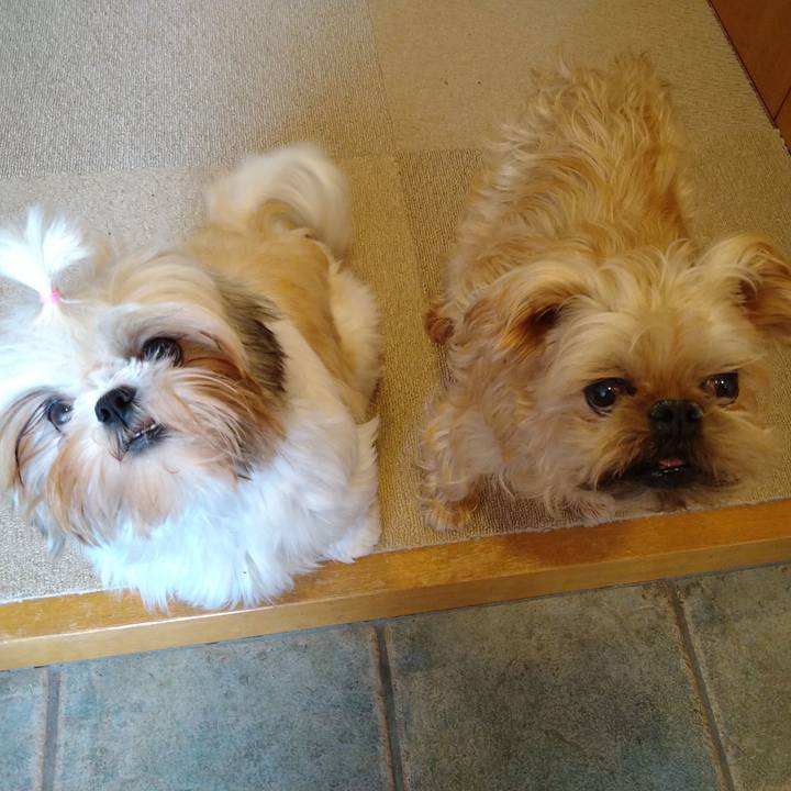 Eca25d7c f185 49e0 9c3e db36ee941253 1607841721736