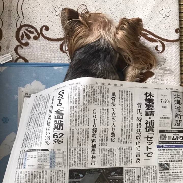 Eca2749c a08e 4541 8147 7549720ee6f9 1595235808367