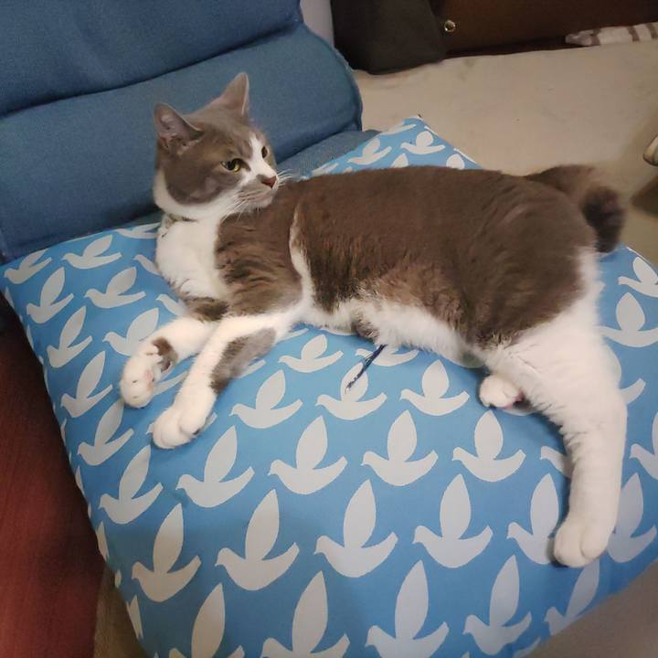 Eca2b187 bb64 4d16 baef 1ff18b957f31 1717938457374