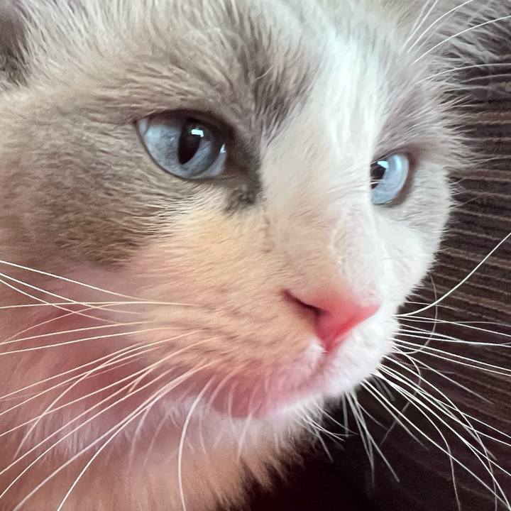 Eca2b892 a3ce 488f 83f2 a87b1f9a6528 1641604688188