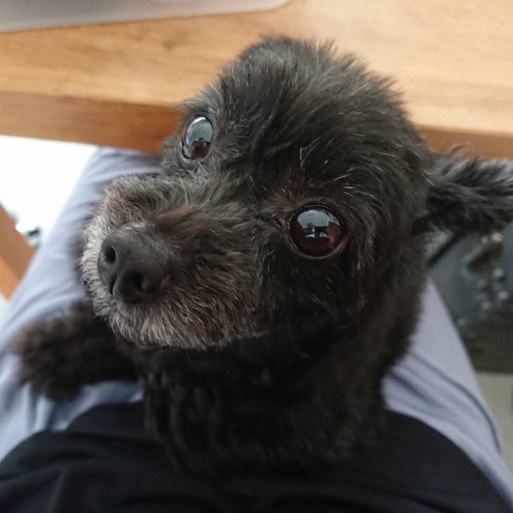 Eca2dc80 8fec 4ffb a078 cbd70a95c71f 1531040183502