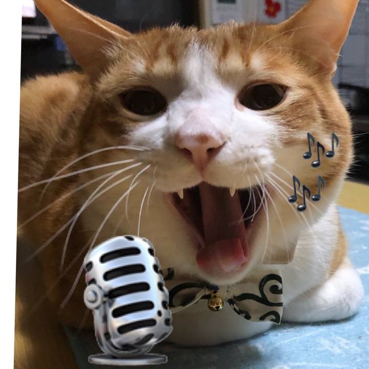 Eca2dde0 947f 4e8d b138 adc2a0277dc0 1551185802733