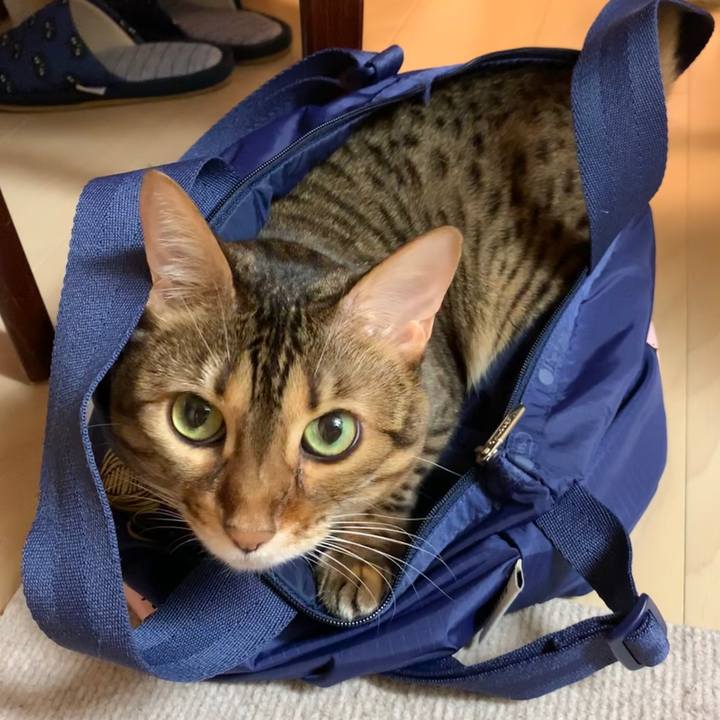 Eca2eaa0 b149 4551 be7e b42038ff6e1f 1594427043937