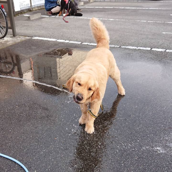 Eca35acc d681 4463 97e0 22e63a24e2db 1522575585159