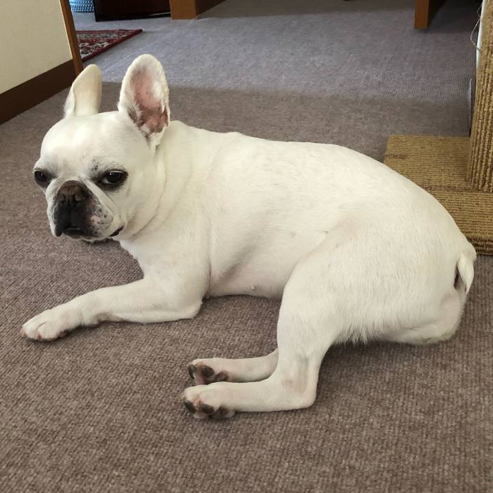 Eca35e7f d702 431d ab72 ebb38b694fe1 1655636257211