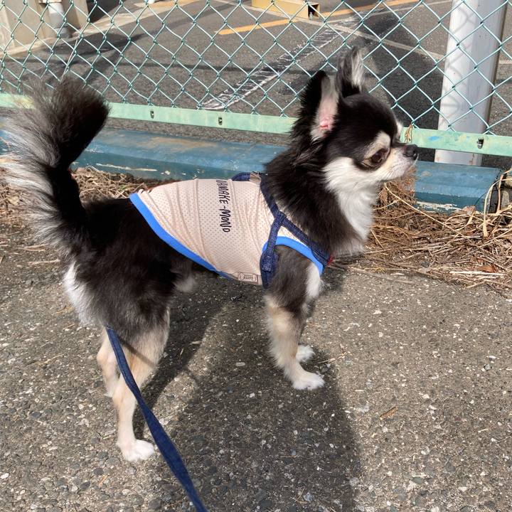 Eca36a9b 089c 4f2d 84d5 c20929b33cf9 1684683504850