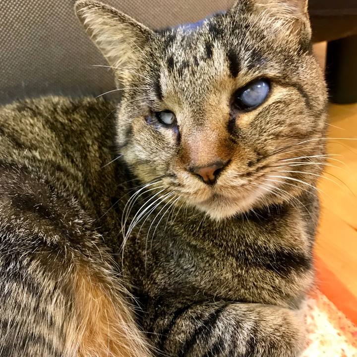 Eca3723d 7d75 4569 a536 f0e699e896ea 1545479720024