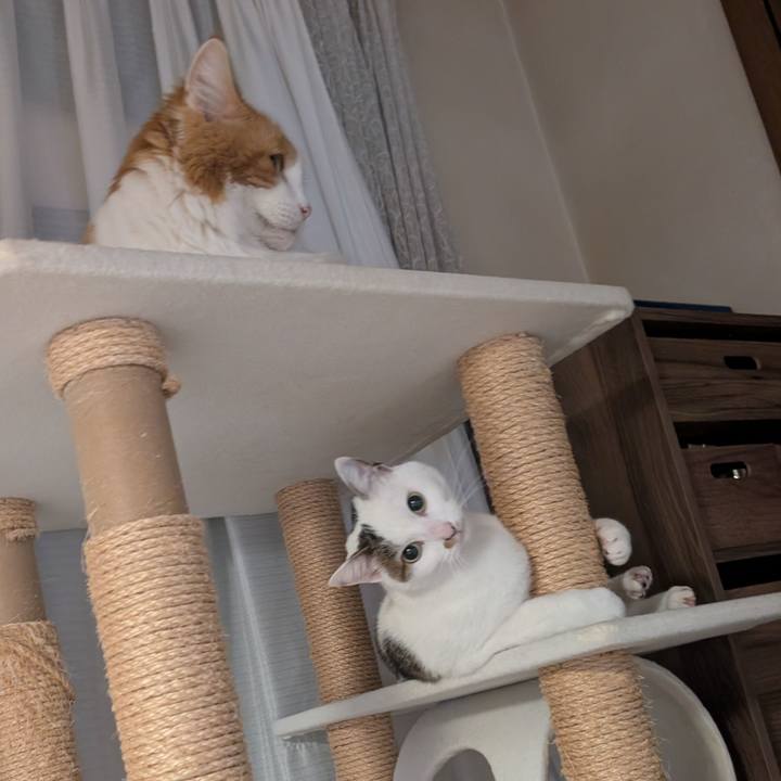 Eca39bcb 0c3f 484d 9a6a 5bb34309b7be 1770379113630