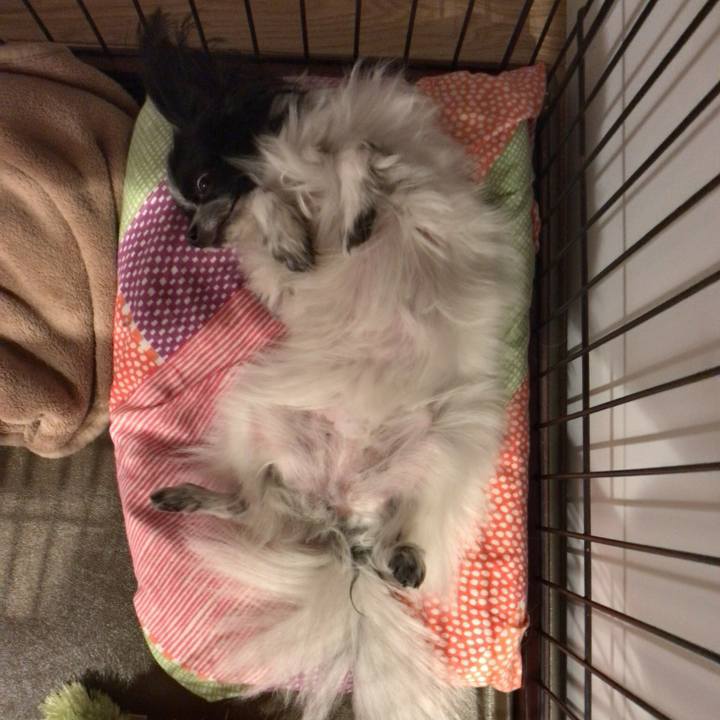 Eca3ee87 b80f 41df 8ff2 7c64458ba367 1510393505917