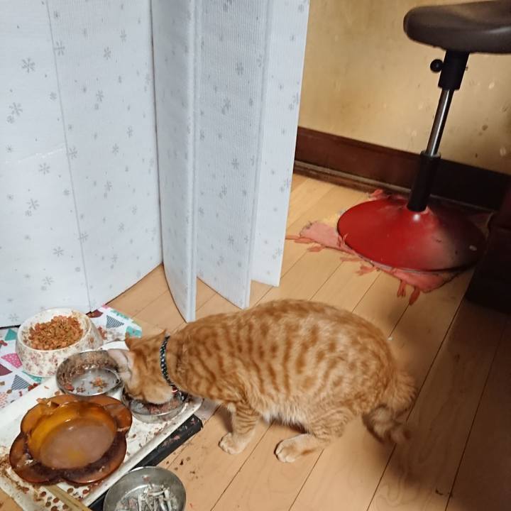 Eca4108f 73eb 4f03 a2ae ae520debbb9e 1645611148079