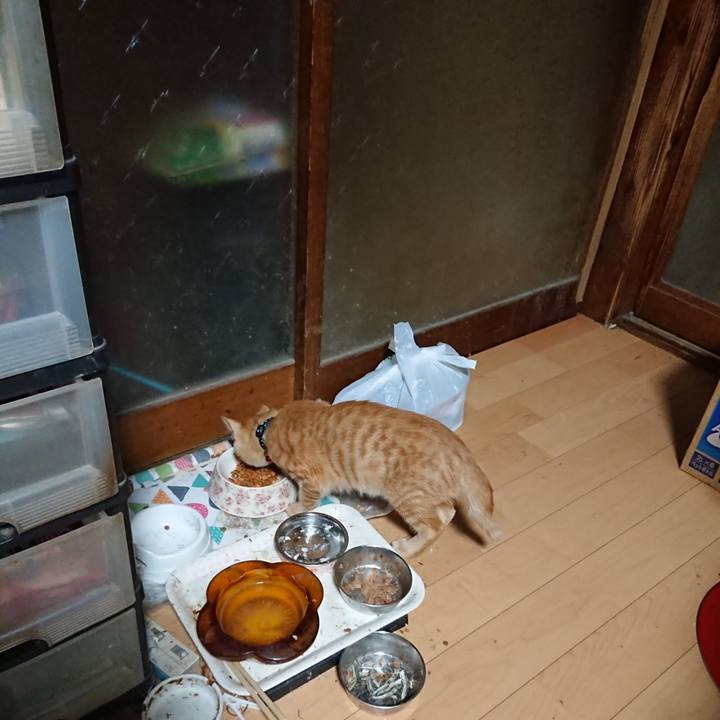 Eca46d4d 5a39 4b80 902a 8429fed7abc7 1634847441710