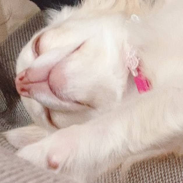 Eca46f33 60b5 4412 b614 a759fab75b20 1618226264656