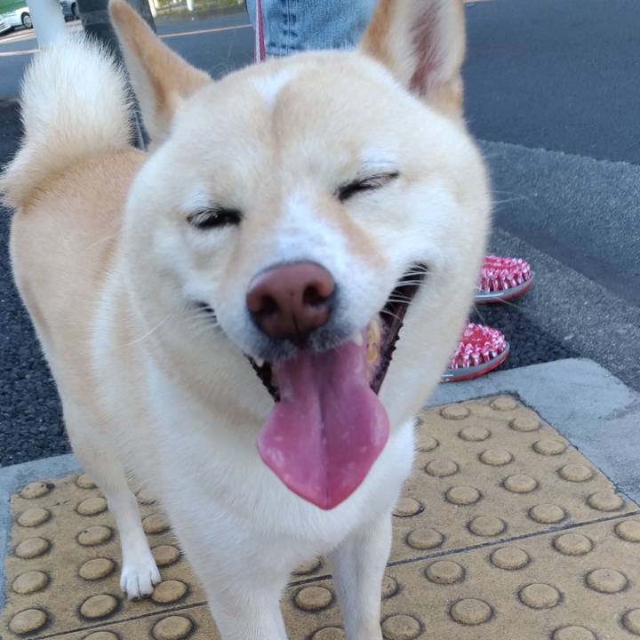 Eca4dd5a 9809 43c1 a808 f61b1fc88793 1597182217145