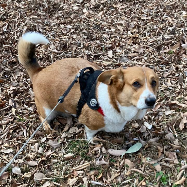 Eca514d9 02f9 4799 9137 a6e1ed2debaf 1677025087653