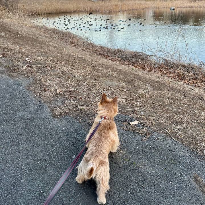 Eca52535 f651 48cb 90a2 fb5ad949e0da 1740605040320