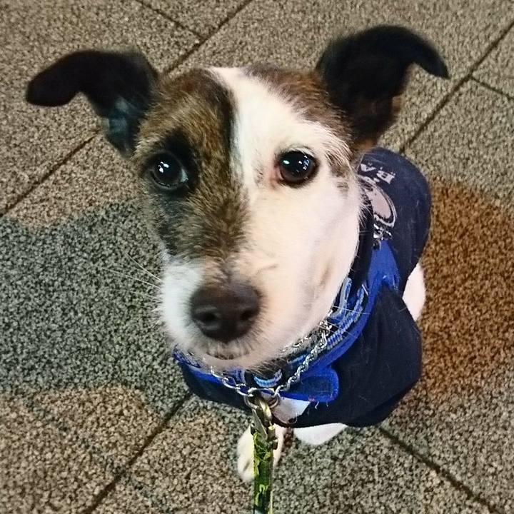 Eca536f9 6f9d 4ddc 9c81 d614fa8f71c8 1548848316360