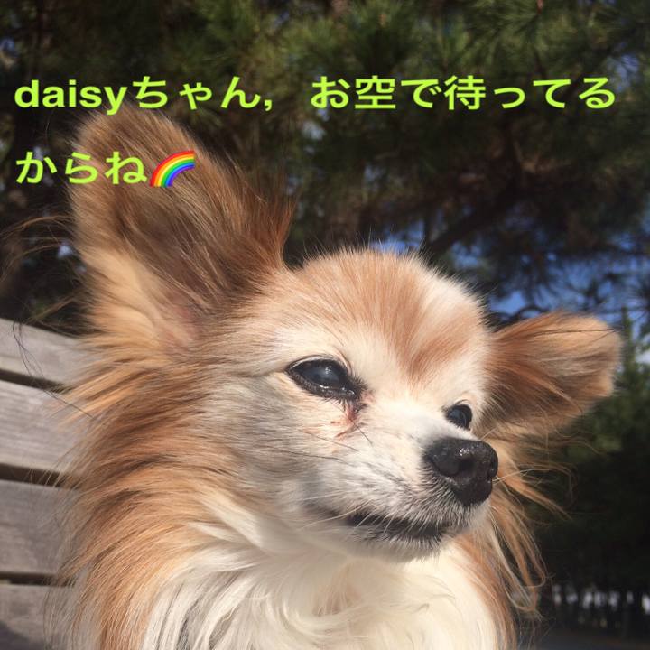 Eca5516a 38e2 4dd0 8a11 c4079e607bd9 1547048960122