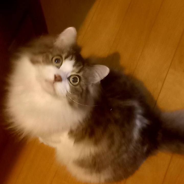 Eca565d6 b137 4b8e 9517 057e664a03a0 1687605574303