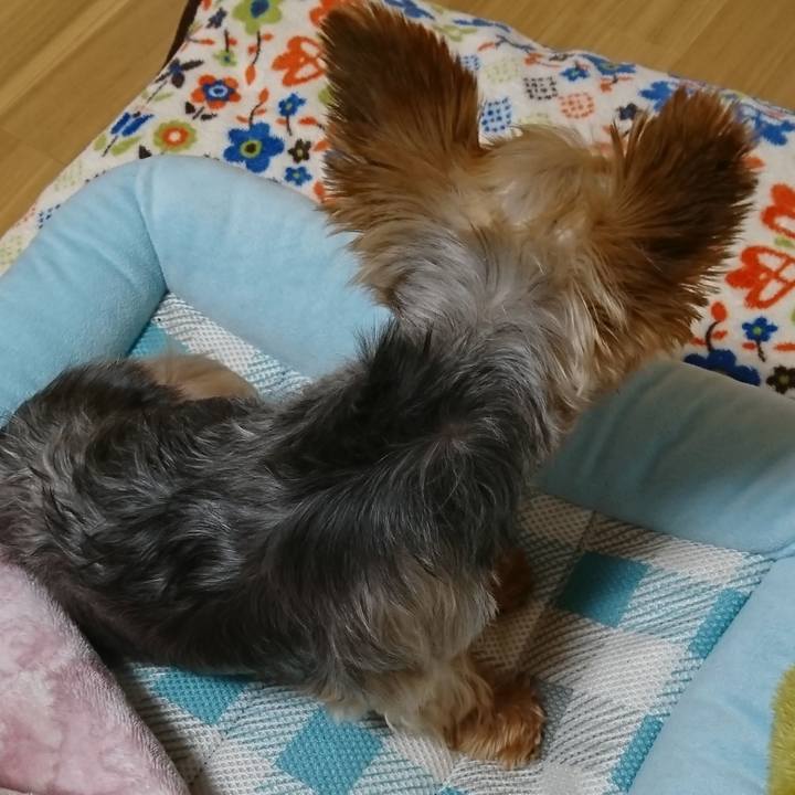 Eca598e1 7fad 4032 8985 bd27def136f7 1534203748105