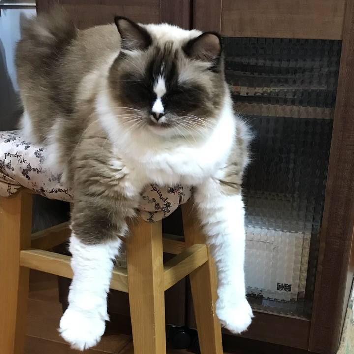 Eca59f91 5e1d 4bc9 b04b 8da7add3978a 1514415818843