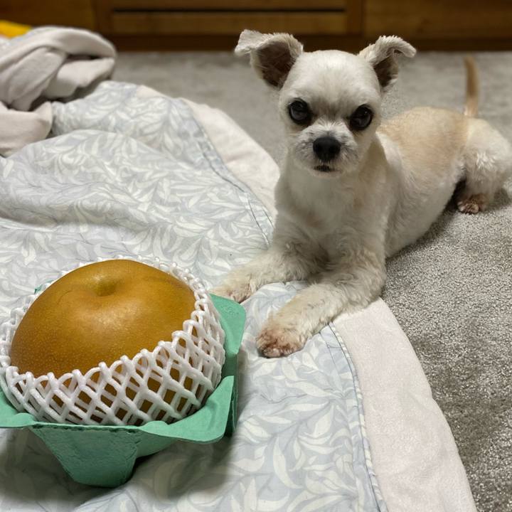 Eca5a2ce 5d91 4079 b3ff 1bdd369f350f 1634467642873