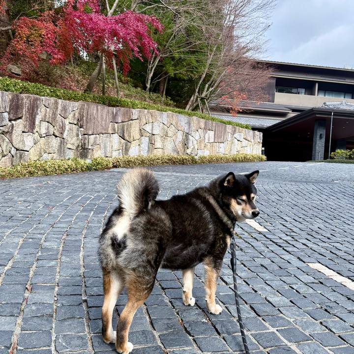 Eca5c4d7 8a45 4447 9f54 0943466d2074 1765075099277