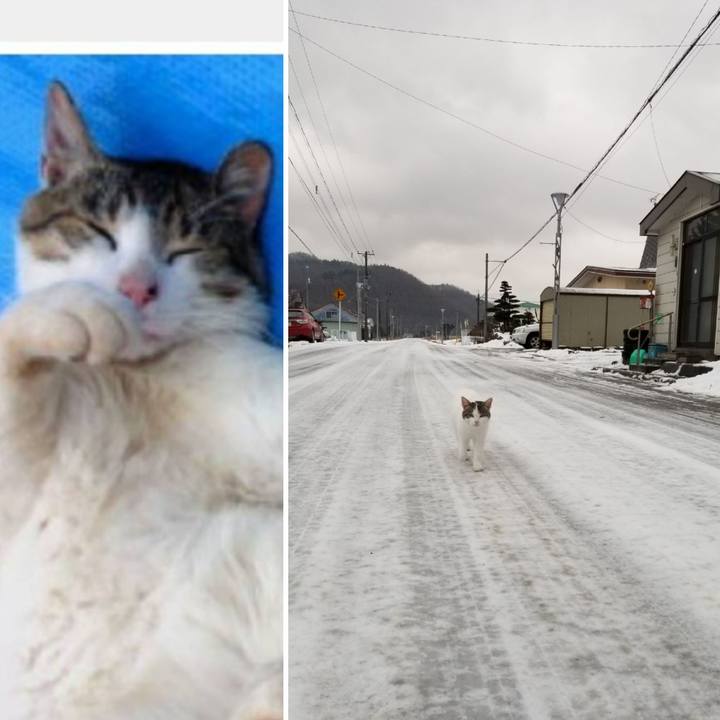 Eca5fd2b c12c 42d7 88cc ae9514c07ecf 1576680030713